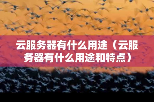 云服务器有什么用途（云服务器有什么用途和特点）