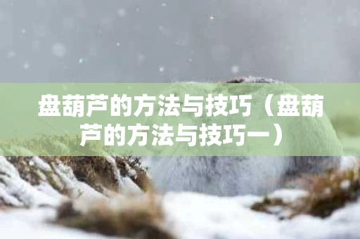盘葫芦的方法与技巧（盘葫芦的方法与技巧一）