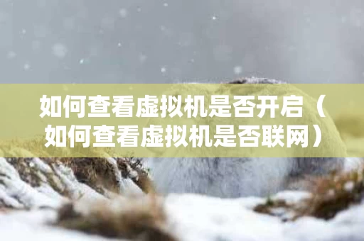 如何查看虚拟机是否开启（如何查看虚拟机是否联网）