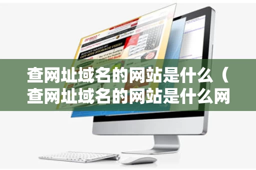 查网址域名的网站是什么（查网址域名的网站是什么网站啊）