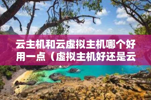 云主机和云虚拟主机哪个好用一点（虚拟主机好还是云主机好）