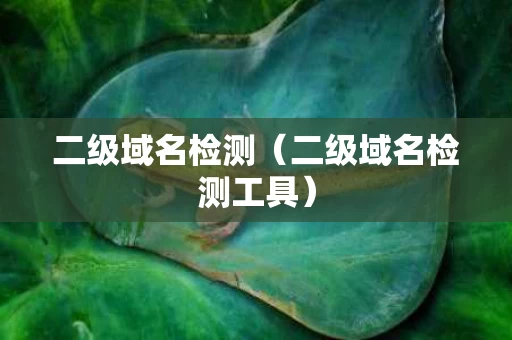 二级域名检测（二级域名检测工具）