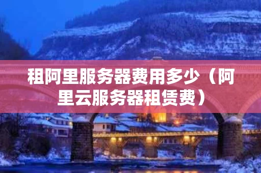 租阿里服务器费用多少（阿里云服务器租赁费）