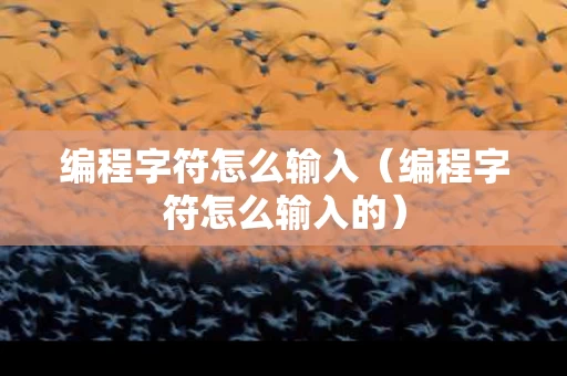 编程字符怎么输入（编程字符怎么输入的）