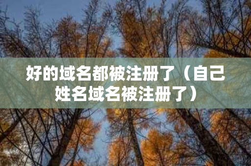 好的域名都被注册了（自己姓名域名被注册了）
