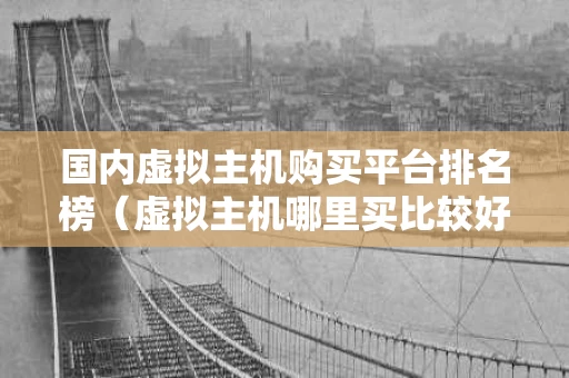 国内虚拟主机购买平台排名榜（虚拟主机哪里买比较好）
