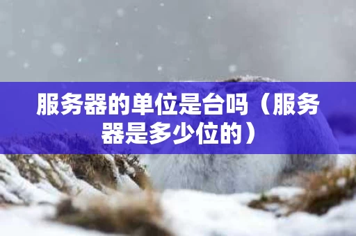 服务器的单位是台吗（服务器是多少位的）