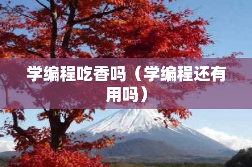学编程吃香吗（学编程还有用吗）