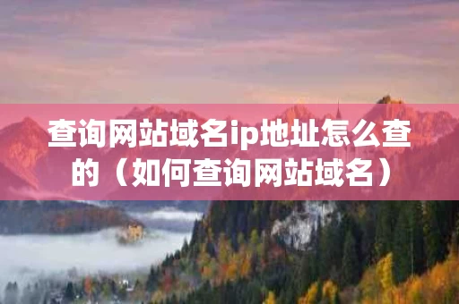 查询网站域名ip地址怎么查的（如何查询网站域名）