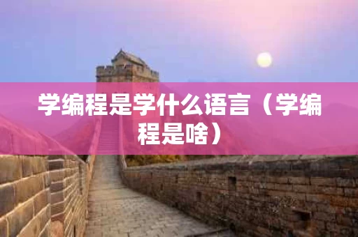 学编程是学什么语言（学编程是啥）