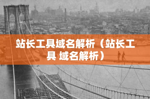 站长工具域名解析（站长工具 域名解析）