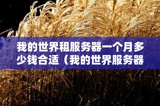 我的世界租服务器一个月多少钱合适（我的世界服务器租用推荐）