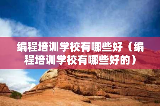 编程培训学校有哪些好（编程培训学校有哪些好的）