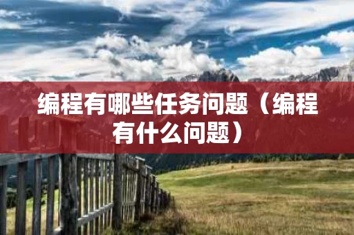 编程有哪些任务问题（编程有什么问题）