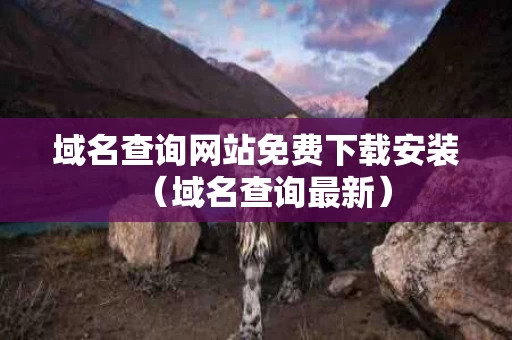 域名查询网站免费下载安装（域名查询最新）