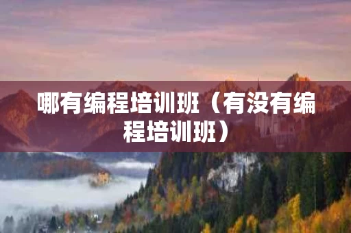 哪有编程培训班（有没有编程培训班）