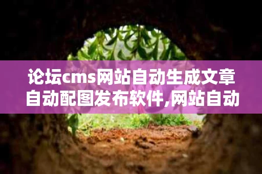 论坛cms网站自动生成文章自动配图发布软件,网站自动生成