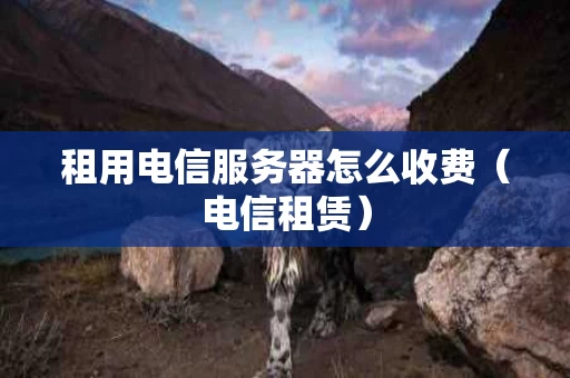 租用电信服务器怎么收费（电信租赁）