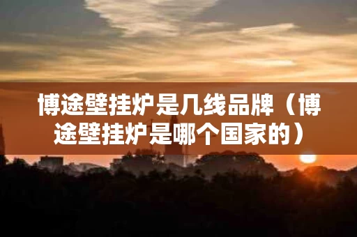 博途壁挂炉是几线品牌（博途壁挂炉是哪个国家的）