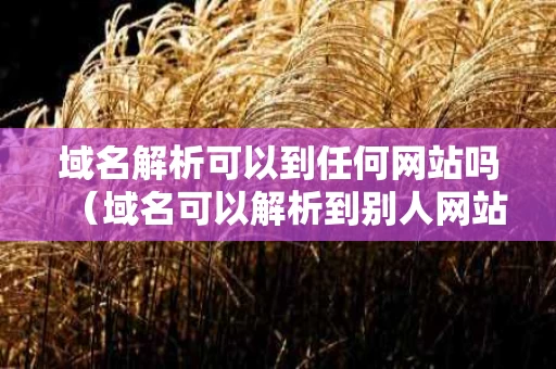 域名解析可以到任何网站吗（域名可以解析到别人网站吗）
