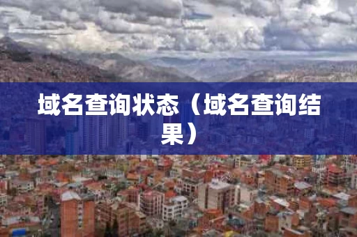 域名查询状态（域名查询结果）