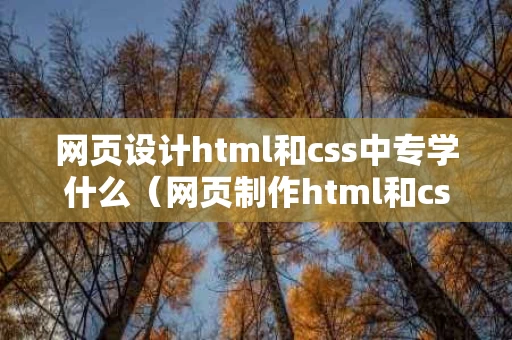 网页设计html和css中专学什么（网页制作html和css有什么区别）