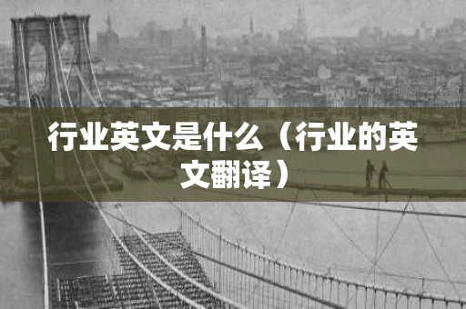 行业英文是什么（行业的英文翻译）