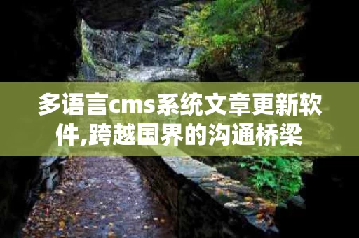 多语言cms系统文章更新软件,跨越国界的沟通桥梁
