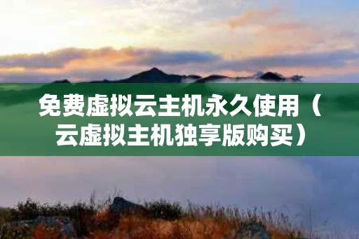 免费虚拟云主机永久使用（云虚拟主机独享版购买）