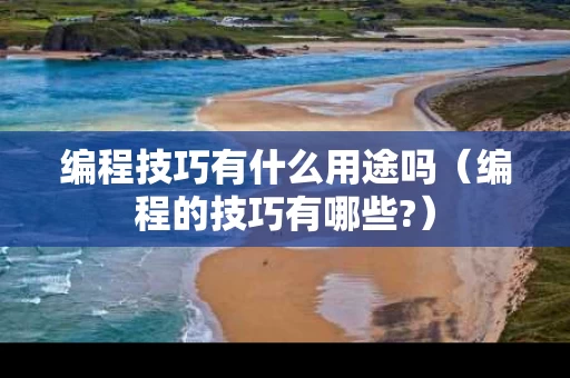 编程技巧有什么用途吗（编程的技巧有哪些?）