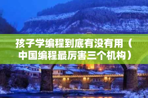 孩子学编程到底有没有用（中国编程最厉害三个机构）