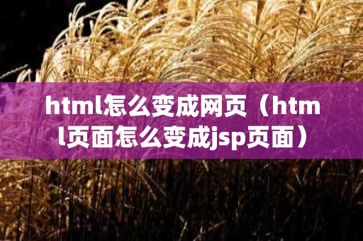 html怎么变成网页（html页面怎么变成jsp页面）