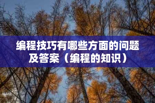 编程技巧有哪些方面的问题及答案（编程的知识）