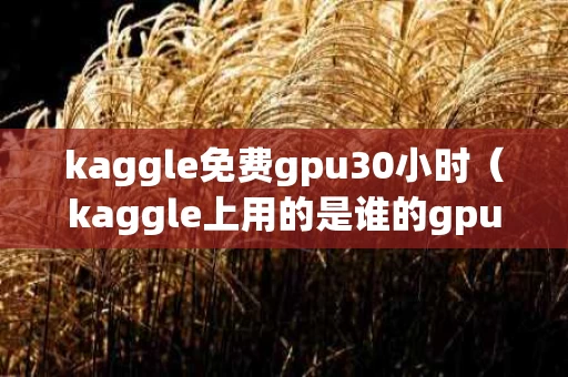 kaggle免费gpu30小时（kaggle上用的是谁的gpu）
