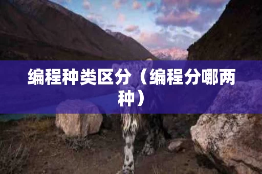 编程种类区分（编程分哪两种）