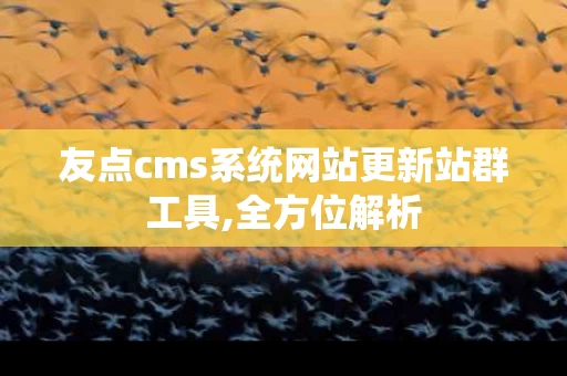 友点cms系统网站更新站群工具,全方位解析