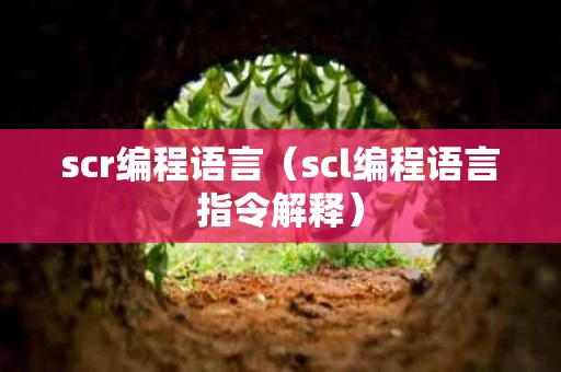 scr编程语言（scl编程语言指令解释）