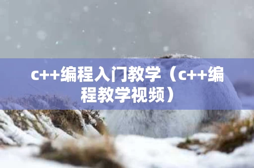 c++编程入门教学（c++编程教学视频）