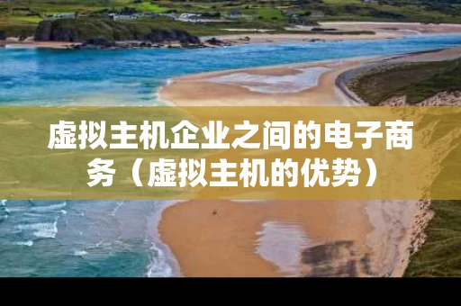 虚拟主机企业之间的电子商务（虚拟主机的优势）