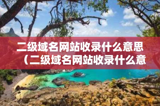 二级域名网站收录什么意思（二级域名网站收录什么意思啊）