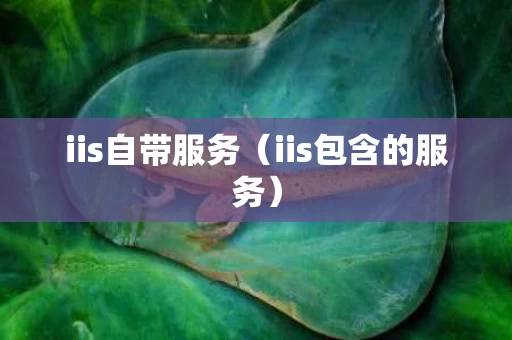 iis自带服务（iis包含的服务）