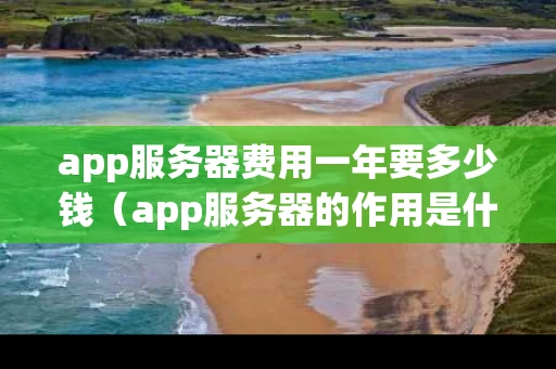 app服务器费用一年要多少钱（app服务器的作用是什么）