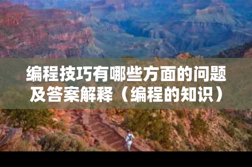 编程技巧有哪些方面的问题及答案解释（编程的知识）