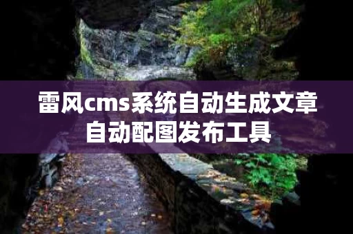 雷风cms系统自动生成文章自动配图发布工具