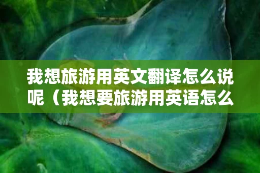 我想旅游用英文翻译怎么说呢（我想要旅游用英语怎么说）