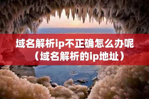 域名解析ip不正确怎么办呢（域名解析的ip地址）