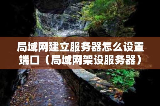 局域网建立服务器怎么设置端口（局域网架设服务器）