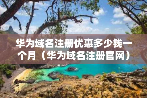 华为域名注册优惠多少钱一个月（华为域名注册官网）