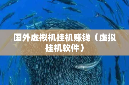 国外虚拟机挂机赚钱（虚拟挂机软件）