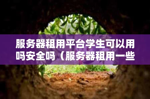 服务器租用平台学生可以用吗安全吗（服务器租用一些流程是什么流程）